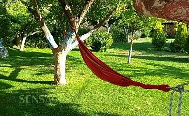 El Ferial en Pancorbo (Burgos) - Foto 6