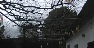 Casa Saraih I y II 0036