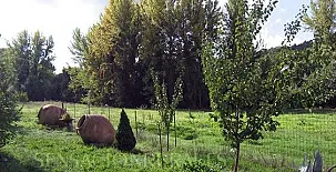 Casa Rural La Mirla 0011