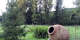 Casa Rural La Mirla 0012