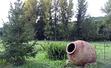 Casa Rural La Mirla en Fuenteheridos (Huelva) - Foto 12