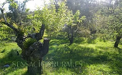 Casa Rural La Mirla en Fuenteheridos (Huelva) - Foto 13