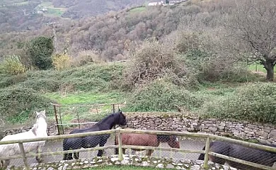 Casas de Aldea Peñanes en Morcín (Asturias) - Foto 13