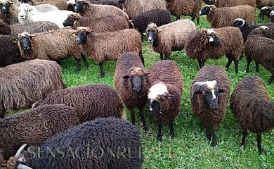 Casas de Aldea Peñanes en Morcín (Asturias) - Foto 17