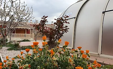 Alojamientos Casa Ruiz en Caravaca de la Cruz (Murcia) - Foto 20