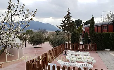 Alojamientos Casa Ruiz en Caravaca de la Cruz (Murcia) - Foto 21