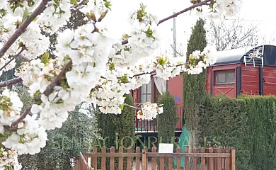 Alojamientos Casa Ruiz en Caravaca de la Cruz (Murcia) - Foto 23