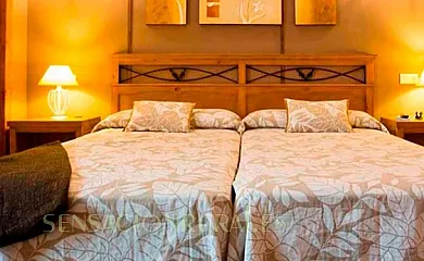 Las Baronas en Santa Cruz de la Salceda (Burgos) - Foto 11