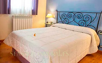 Las Baronas en Santa Cruz de la Salceda (Burgos) - Foto 15