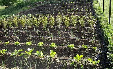 Basajarau en Yosa de Sobremonte (Huesca) - Foto 11