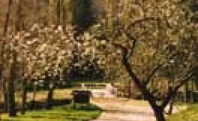 Casa Bartolín en Gedrez (Asturias) - Foto 12