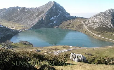 AT La Senda del Casaño en Cabrales (Asturias) - Foto 16