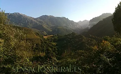 AT La Senda del Casaño en Cabrales (Asturias) - Foto 18