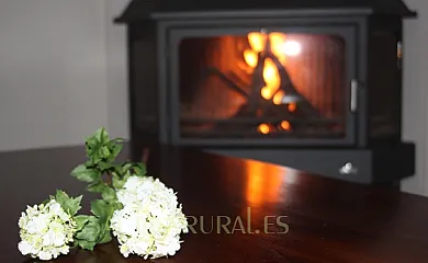 El Rincón del Mielero en Fuendetodos (Zaragoza) - Foto 9