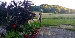 Casa Rural La Corte 007