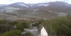 Casa Rural La Corte 0011