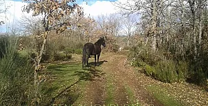 Casa Rural La Corte 0012