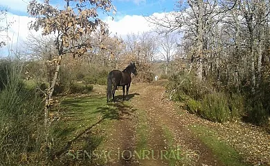Casa Rural La Corte en Nava de Santullán (Palencia) - Foto 12