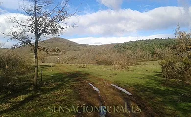 Casa Rural La Corte en Nava de Santullán (Palencia) - Foto 13