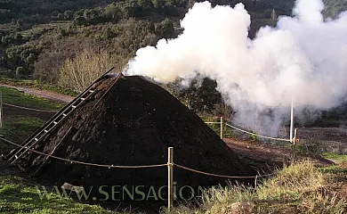 Casa Carboneros en Ledesma de la Cogolla (La Rioja) - Foto 15