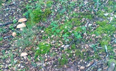 Casa Carboneros en Ledesma de la Cogolla (La Rioja) - Foto 17