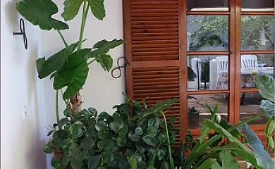 Villa La Saliega (Antes Eurotropic) en La Herradura (Granada) - Foto 10