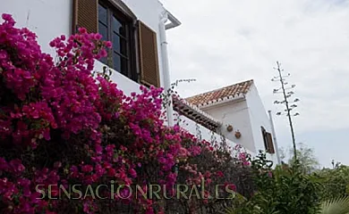 Villa La Saliega (Antes Eurotropic) en La Herradura (Granada) - Foto 5