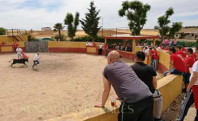 Scapadas en Pelabravo (Salamanca) - Foto 19