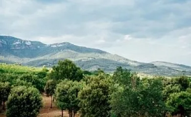 La Torre del Valent en L´Aleixar (Tarragona) - Foto 16
