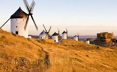 Venta de Agar Z en Orgaz (Toledo) - Foto 24