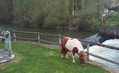 La Casa del Herrador en Carrascal Del Rio (Segovia) - Foto 9