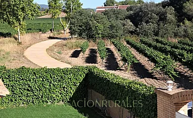 Casa Fontanals en El Pla Del Penedès (Barcelona) - Foto 8