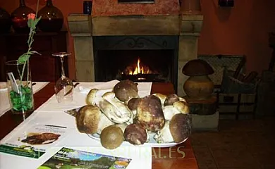 Los Ranchales en Vinuesa (Soria) - Foto 8