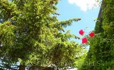 Casa Rural El Porche en Villaverde Del Monte (Soria) - Foto 2