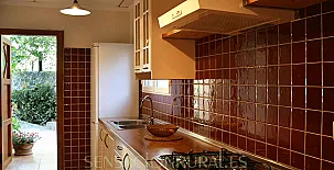 Puente La Rambla 007