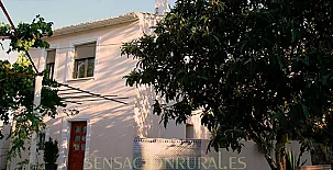 Puente La Rambla 0012