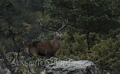 Casa Lahuerta en Bronchales (Teruel) - Foto 3