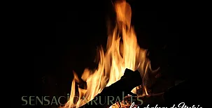 Cortijo el Ventorrillo 004