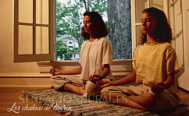 Cortijo el Ventorrillo en María (Almería) - Foto 7