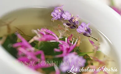 Cortijo el Ventorrillo en María (Almería) - Foto 9