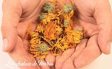 Cortijo el Ventorrillo en María (Almería) - Foto 11