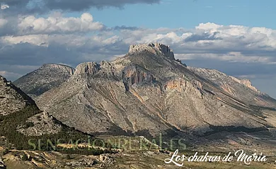 Cortijo el Ventorrillo en María (Almería) - Foto 13