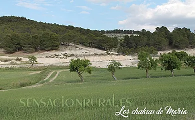 Cortijo el Ventorrillo en María (Almería) - Foto 14