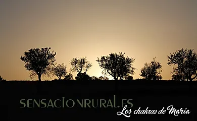 Cortijo el Ventorrillo en María (Almería) - Foto 16