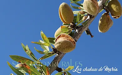 Cortijo el Ventorrillo en María (Almería) - Foto 17