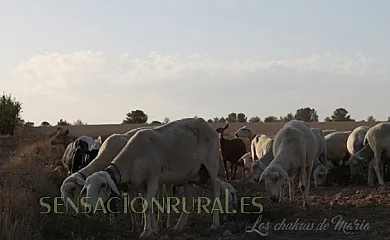 Cortijo el Ventorrillo en María (Almería) - Foto 21