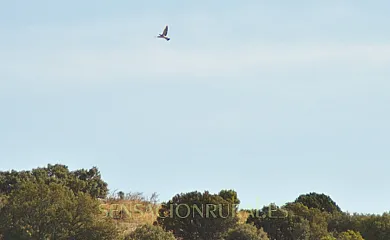 Caserío Inazares en Moratalla (Murcia) - Foto 12