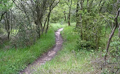 Casa la Ilera en Casalarreina (La Rioja) - Foto 3