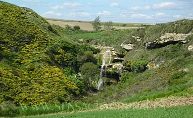 Casa la Ilera en Casalarreina (La Rioja) - Foto 19