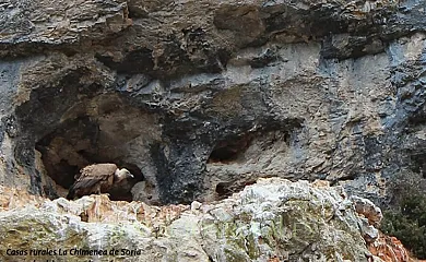 La Chimenea de Soria I y II en Espeja de San Marcelino (Soria) - Foto 7